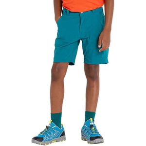 Dare2b Reprise Ii Korte Broek