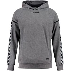 Hummel Authentic Charge Poly Hoodie