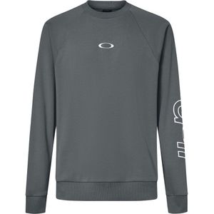 Oakley Apparel Crew Graphic Pkt Sweatshirt Grijs M Man