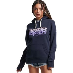 Superdry Vintage Scripted Infill Hoodie