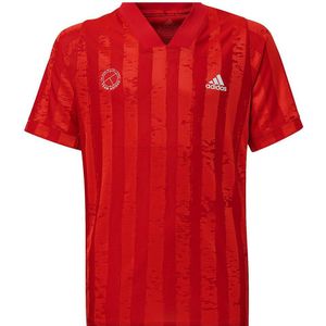 Adidas Printed Freelift Short Sleeve T-shirt Rood 7-8 Years