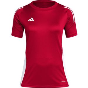 Adidas Tiro24 T-shirt Met Korte Mouwen