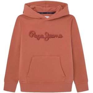 Pepe Jeansvoor jongens. PB581614 Sweater Nieuw Lamonty bruin (10años= 140cm), Casual, Biologisch katoen, Duurzaam, kinderkleding