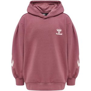 Hummel Due Hoodie