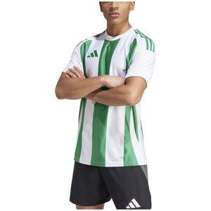 Adidas Striped 24 T-shirt Met Korte Mouwen