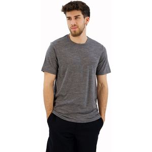 Icebreaker Tech Lite Ii Merino Short Sleeve T-shirt Grijs XL Man