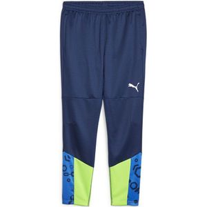 Puma Individual Cup Trainingsbroek