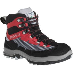 Dolomite Steinbock Wt Goretex Hiking Boots Grijs EU 37