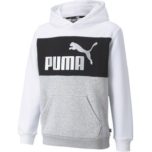 Puma Essential+colorblock Hoodie Wit 5-6 Years Jongen
