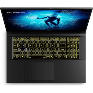 Medion Erazer Defender P50i Md62681 17´´ I5-13420h/16gb/1tb Ssd/rtx 4060 Laptop