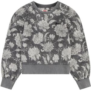 Levi's - Discharge Meet&greet Sweatshirt - Zwart - Kleding