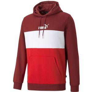 Puma Essental+colorblock Hoodie