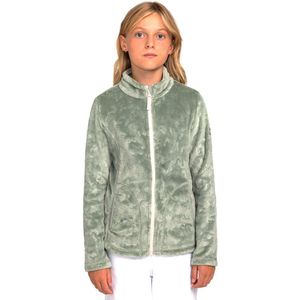 Roxy Igloo Fleece Met Volledige Rits