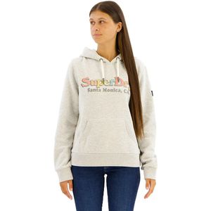 Superdry Rainbow Logo Hoodie