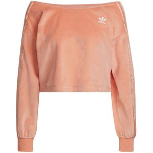 Adidas Originals Sweatshirt Oranje 40 Vrouw