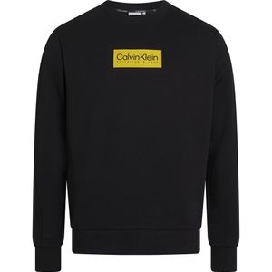 Calvin Klein Raised Rubber Logo Sweatshirt Zwart L Man
