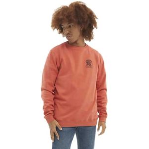 Hydroponic Dragon Ball Z Comic Sweatshirt