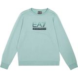 EA7 - 7B000170_AF13512 - Sweater - Zachtgroen - Casual - Katoen