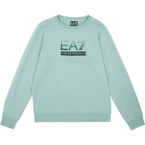EA7 - 7B000170_AF13512 - Sweater - Zachtgroen - Casual - Katoen