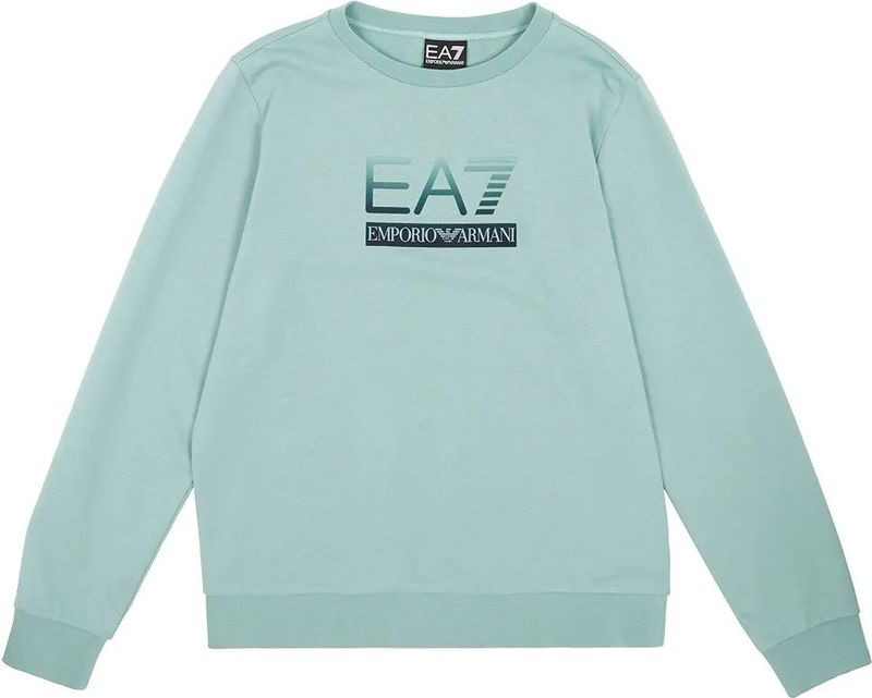 EA7 - 7B000170_AF13512 - Sweater - Zachtgroen - Casual - Katoen
