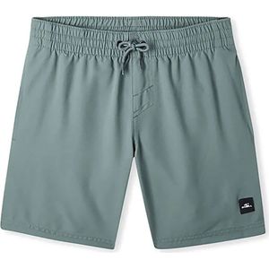 O´neill Future Surf Society 14´´ Zwembroek