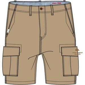 Quiksilver Ichaca Korte Broek