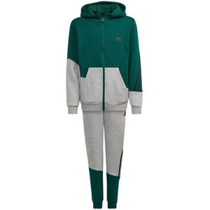 Adidas Winter Track Suit Groen 3-4 Years