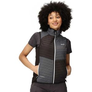 Regatta Trutton Vest