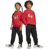 Adidas - Joggingbroekset - Mickey Mouse - Sweatshirt en Joggers