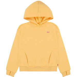 Levi´s ® Kids Batwing Patch Hoodie