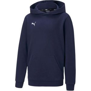 Puma Teamgoal 23 Casuals Hoodie