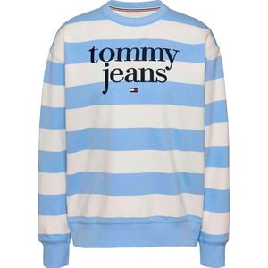 Tommy Hilfiger Dw0dw19041 Sweatshirt