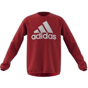 Adidas Designed To Move Big Logo Sweatshirt Rood 5-6 Years