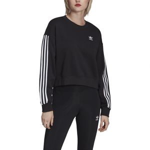 Adidas Originals Adicolor Sweatshirt Zwart 34 Vrouw