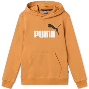 Puma Ess+ 2 Col Big Logo Hoodie Oranje 13-14 Years Jongen
