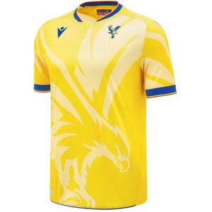 Uitshirt Crystal Palace 2024