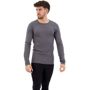 Adidas Xperior Merino 200 Baselayer Long Sleeve T-shirt Grijs XL Man