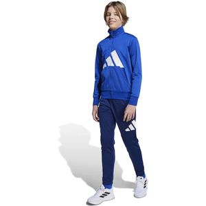 adidas - Trainingspak - Zwart - Tricot - CLIMACOOL