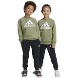 Adidas Essentials Logo Fleece Set