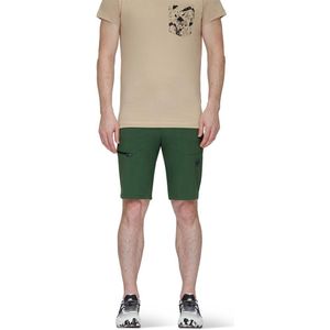 Mammut Runbold Shorts Beige,Groen 54 Man