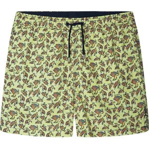Hackett Sea Turtles Zwembroek