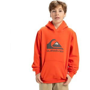 Trui - Groot Logo - Geborstelde Katoen-Polyestermix - Jongens