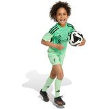 Adidas - Liverpool FC 25/26 - Mini Doelman Thuis Junior Set - Voetbaltenues
