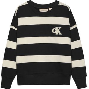 Calvin Klein Jeans Striped Modern Comfort Cn Trui