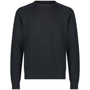 Lee Clean Raglan Trui Zwart Man