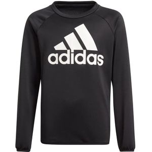 adidas - Designed To Move Big Logo - Kinder Sweatshirt - Zwart - AEROREADY Technologie