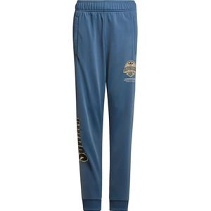 Adidas Originals Graphic Broek