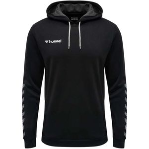 Hummel - hmlAUTHENTIC POLY - Hoodie - Polyester