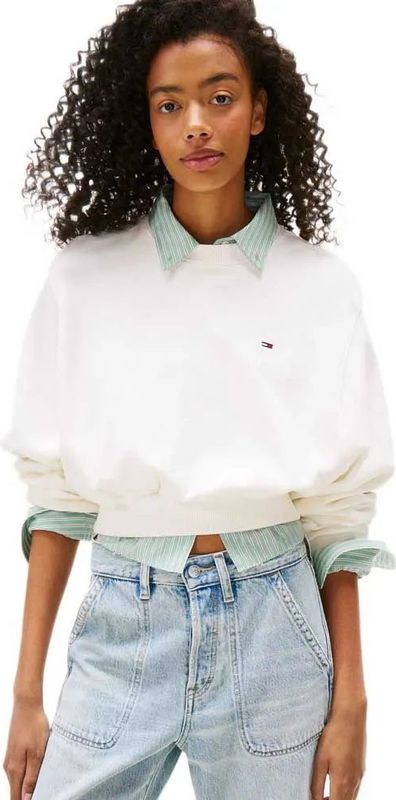 Tommy Jeans Dw0dw21831 Cropped Sweatshirt