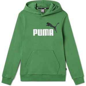 Puma Ess+ 2 Col Big Logo Hoodie Groen 3-4 Years Jongen